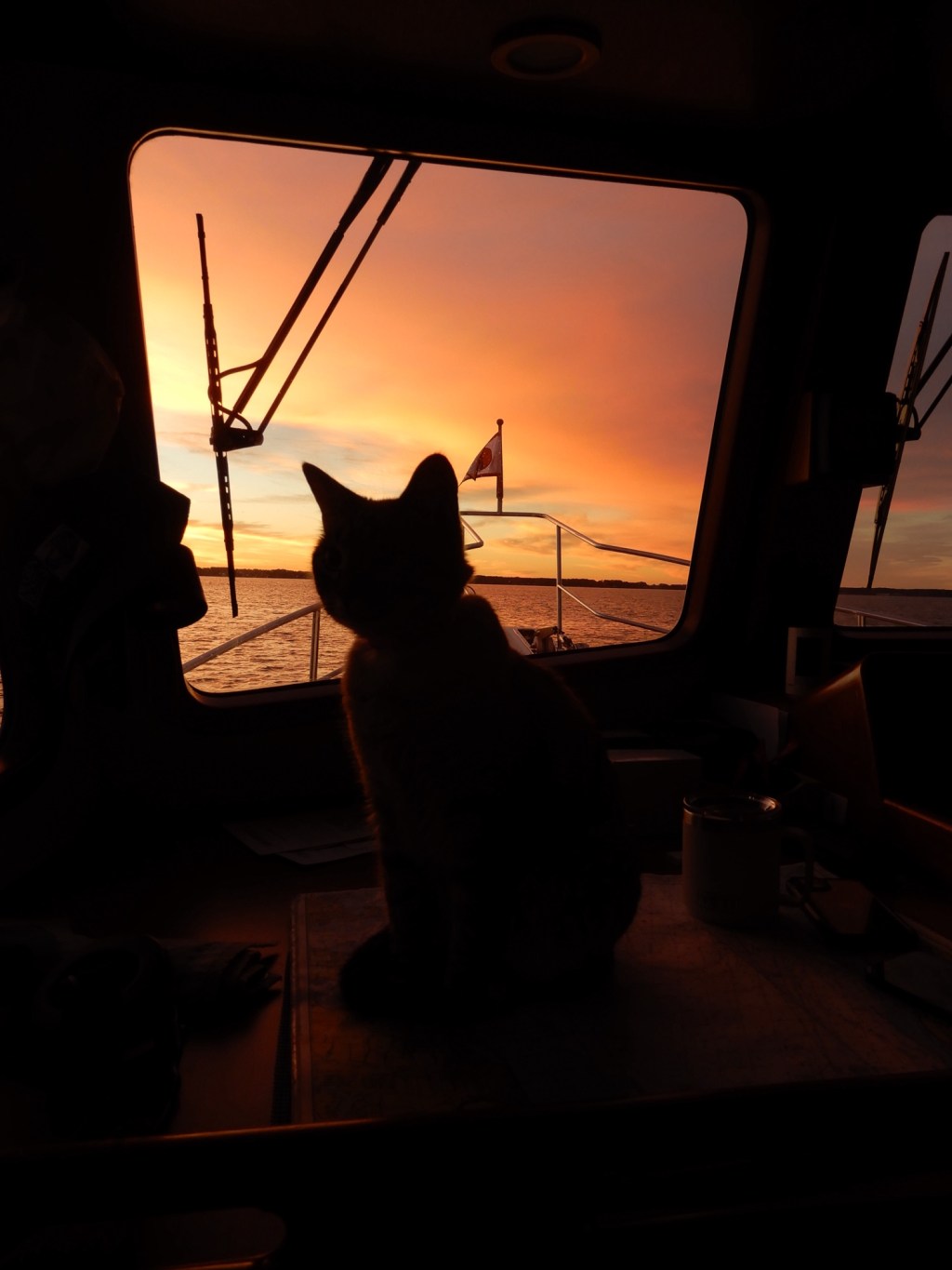 Epic 30-Hour Boat Journey from Southport to&nbsp;Savannah